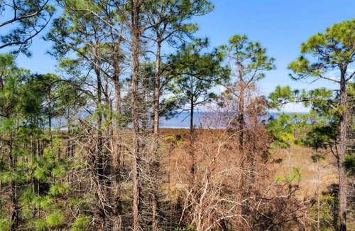 Baytowne Wharf Condo | 164 m² Condo ∙ 3 bedrooms ∙ 10 guests