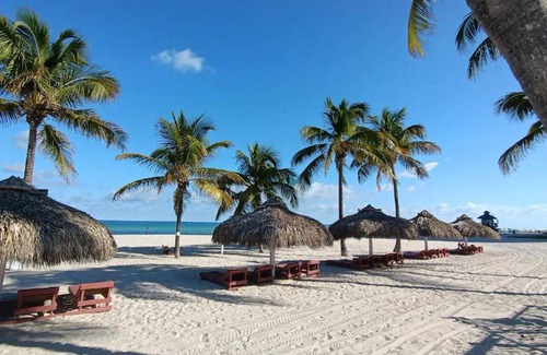 Sunny Isles Beach Hotel | 19 m² Hotel ∙ 4 guests