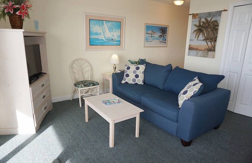 St. Petersburg - Clearwater Condo | 47 m² Condo ∙ 1 bedroom ∙ 4 guests