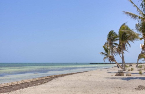 Lower Matecumbe Beach Apartment | 63 m² Apartment ∙ 1 bedroom ∙ 2 guests