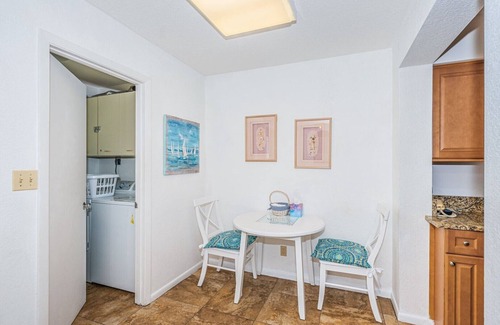 St. Petersburg Condo | Bahia Vista 'Sea' Life's Beauty