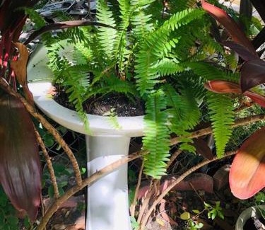 Coral Way Apartment | Independent Studio in Little Havana