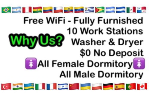East Little Havana Hostel | Miami on a Budget - Free Coffee- Female Dorms - Men Dorms Under New Management -