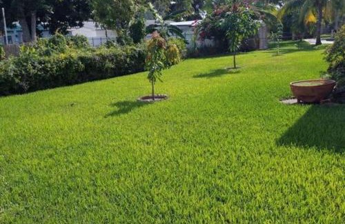 Plantation House | Oasis1080 Resort