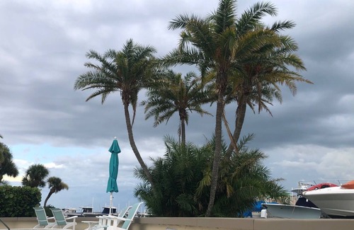 Island Estate Apartment | Spacious Condo 5 Minutes To Clearwater Beach!