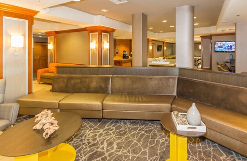 Westshore Hotel | SpringHill Suites by Marriott Tampa Westshore Airport
