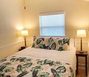 Downtown Dunedin Apartment | 2 Bedroom Apt Overlooking Dunedin Town Square NO KIDS, NO PETS