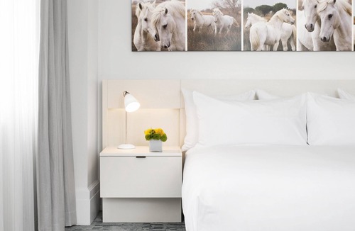 Downtown Hotel | 21c Museum Hotel Lexington