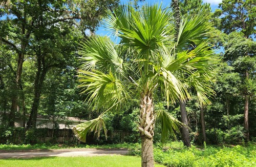 Crawfordville House | 3 Bedroom 15 minutes from beach