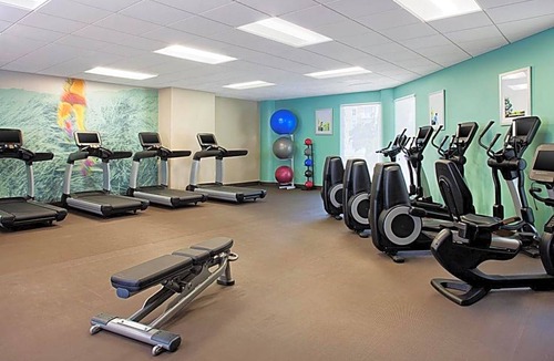 Harbour Island Hotel | 4-Star Hotel ∙ The Westin Tampa Waterside