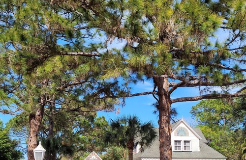 Vero Beach House | 5 ⭐️ Charming 2-Story Carriage House🏡Near Beach! $150 Night!🏝
