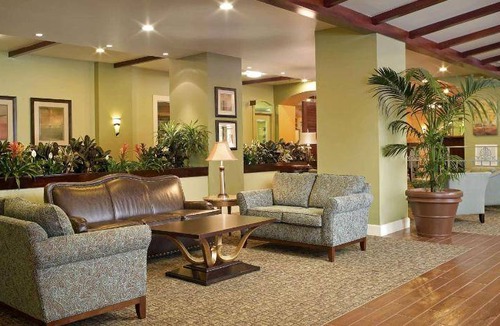 Palm Beach Shores Hotel | 51 m² Hotel ∙ 127 guests
