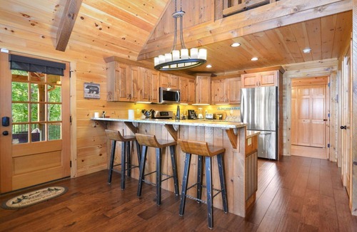 Aska Cabin | Alta Vista Views Game Room Pet Friendly