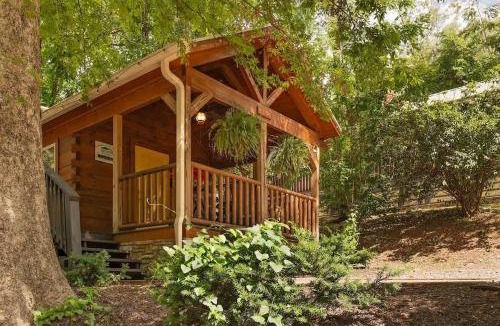 Lookout Valley Neighborhood Association House | Ani Cabin Tiny Home Bordered By National Forest
