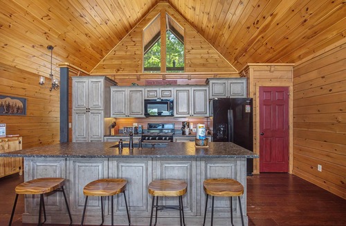 Black Bear Falls House | Another Day in Bearadise