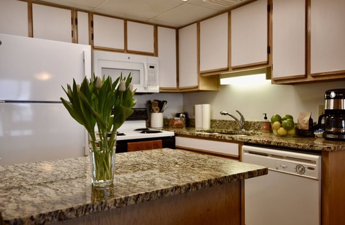 Pawleys Island Condo | Beach front luxury Litchfield Condo oceanfront in Bridgewater