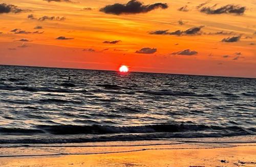 Belle Vista Apartment | Beachfront Condo Ocean View