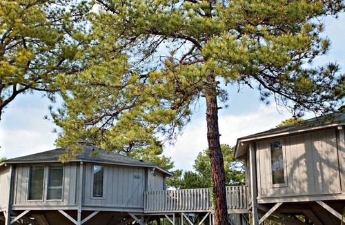 Surfside Beach Apartment | Beautiful 1 bedroom unit at resort, sleeps 4