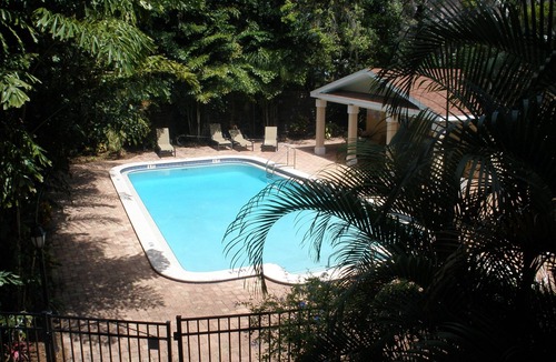 Downtown Dunedin Condo | Beautiful Downtown Condo in the Heart of Dunedin