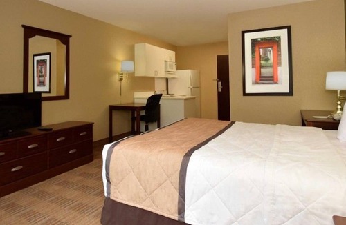 Temple Terrace Apartment | Beautiful Studio apartment (425985) by Houzlet