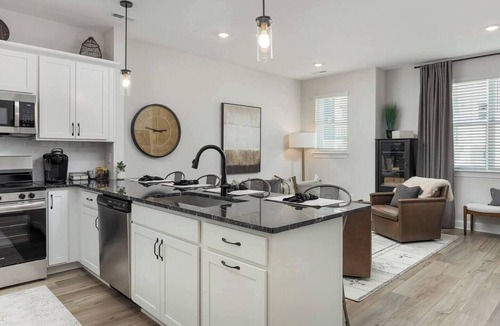 Chattanooga Apartment | Birch Bliss | Stylish 2BR Downtown Chatt Stay!