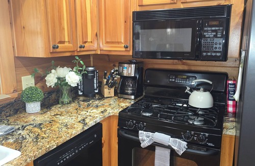 Blue Ridge Cabin | Blue Ridge, North GA Cabin: Sleeps 10 & 2 pets hot tub Fast wifi fire pit