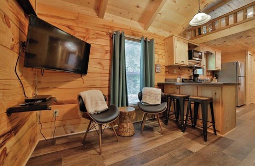 Lookout Valley Neighborhood Association Cabin | Bryce Cabin - Lookout Mtn Tiny Home with Swim Spa