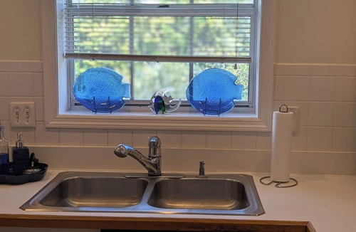Paradise Lakes Condo | Buff Bay Luxury 1BR King Condo, Private Lanai, Pet-Friendly - Clothing Optional