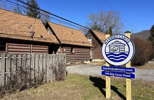 Cherokee Cabin | Cabin #1 - Riverfront w/Gas Fireplace and more!