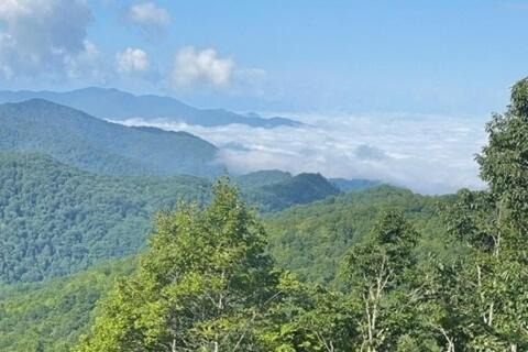 Cranberry Falls Ski Chalet | Cabin with incredible view Blue Ridge Parkway