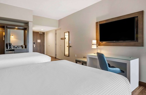 Orlando Hotel | Cambria Hotel Orlando Airport