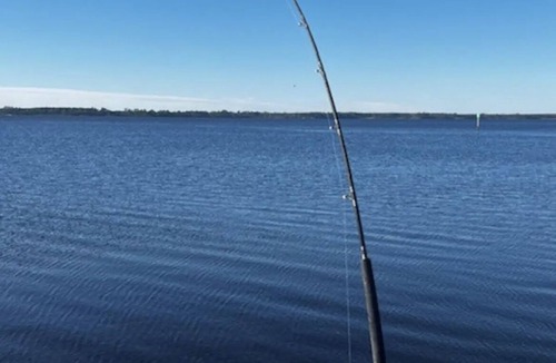 Ochlockonee Bay House | Camper with bunk beds on Ochlockonee Bay! Pet friendly