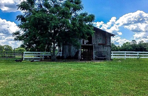 Live Oak Other | Camping ∙ 1 bedroom ∙ 2 guests