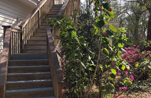 Tallahassee Apartment | Charming 1-bedroom apartment minutes to FSU and downtown, convenient to I-10