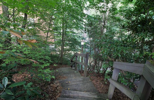 Sugar Mountain Condo | Charming Condo on Sugar w/Access to Clubhouse