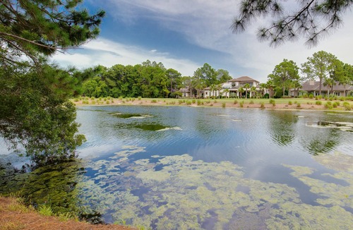 Laurel Grove House | Charming Cottage! 2 Golf Carts, Near the Pool & Hot Tub, Beach Tram Included!