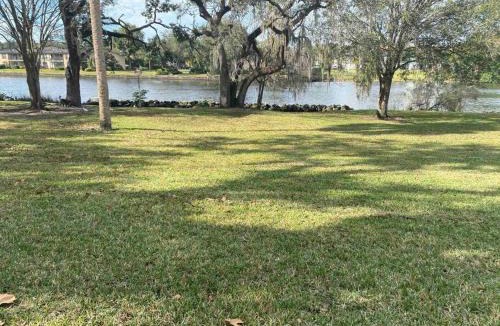 South Seminole Heights Apartment | Chic pad in center of Seminole Heights-322