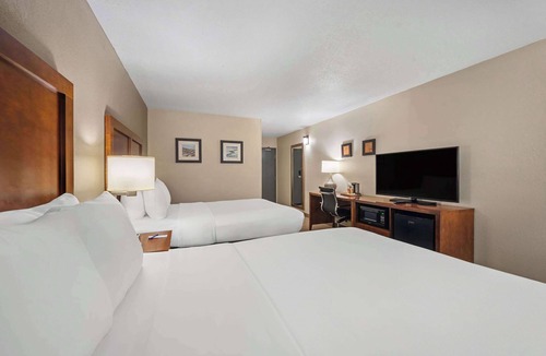 Fort Myers Hotel | Comfort Inn Fort Myers Northeast