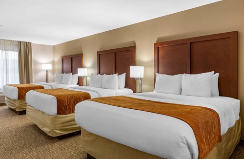 Smithfield Hotel | Comfort Inn Smithfield near I-95