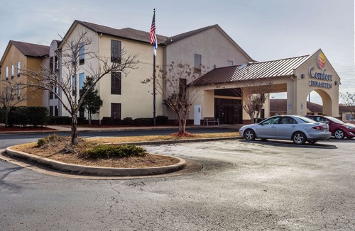 Jasper Hotel | Comfort Inn & Suites Jasper Hwy 78 West