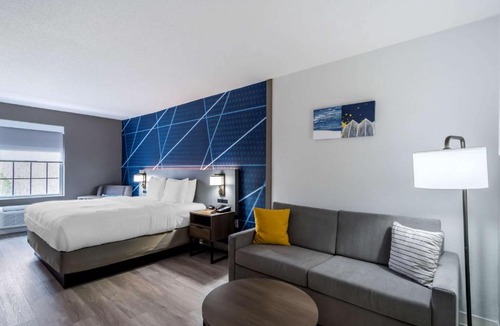 Lexington Hotel | Comfort Inn & Suites Lexington South