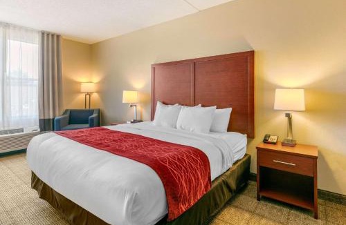 Franklin Hotel | Comfort Inn & Suites Nashville Franklin Cool Springs