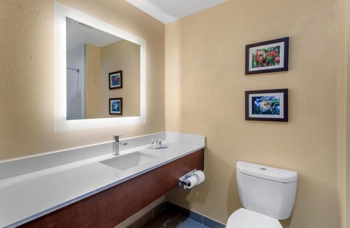 Locust Grove Hotel | Comfort Suites Locust Grove Atlanta South