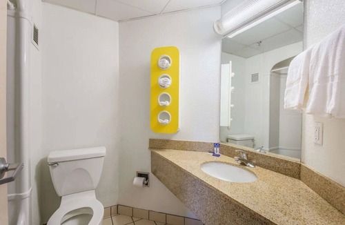 Knoxville Hotel | Convenient & Pet-Friendly Stay Near Knoxville's Top Attractions | 4 Units
