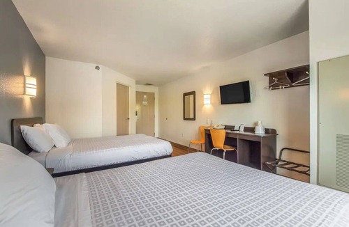 Knoxville Hotel | Convenient & Pet-Friendly Stay Near Knoxville's Top Attractions | 4 Units