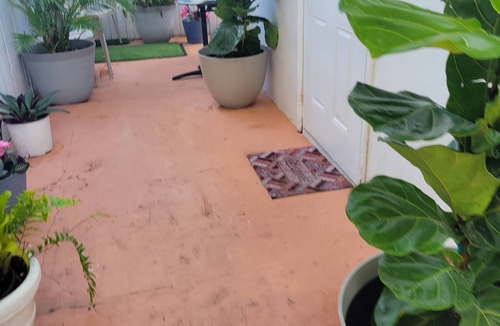 Allapattah Apartment | Cozy Apartment Near Wynwood!