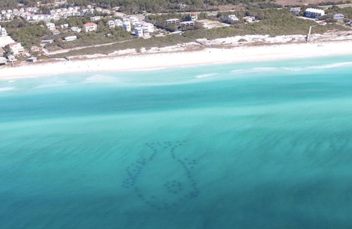 Sandestin Apartment | Cozy Condo with pool near shopping/nightlife and pristine beaches