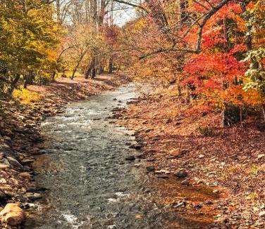 Maggie Valley Hotel | Cozy Creek Cottages