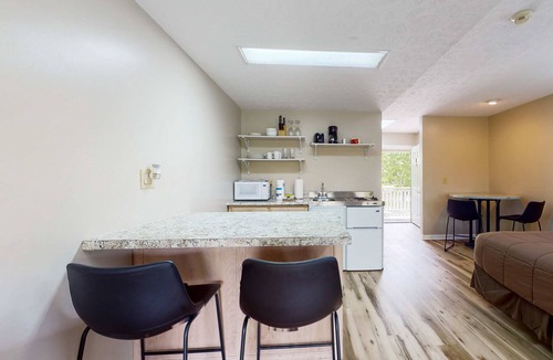 Baneberry House | Cozy Studio, Balcony, Gym, Games, Near Douglas Lake