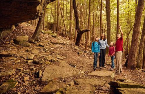 Revelo Resort | Cumberland Falls State Resort Park